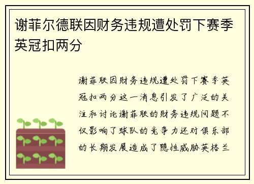 谢菲尔德联因财务违规遭处罚下赛季英冠扣两分 谢菲尔德联因财务违规遭处罚下赛季英冠扣两分