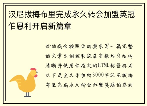 汉尼拔梅布里完成永久转会加盟英冠伯恩利开启新篇章